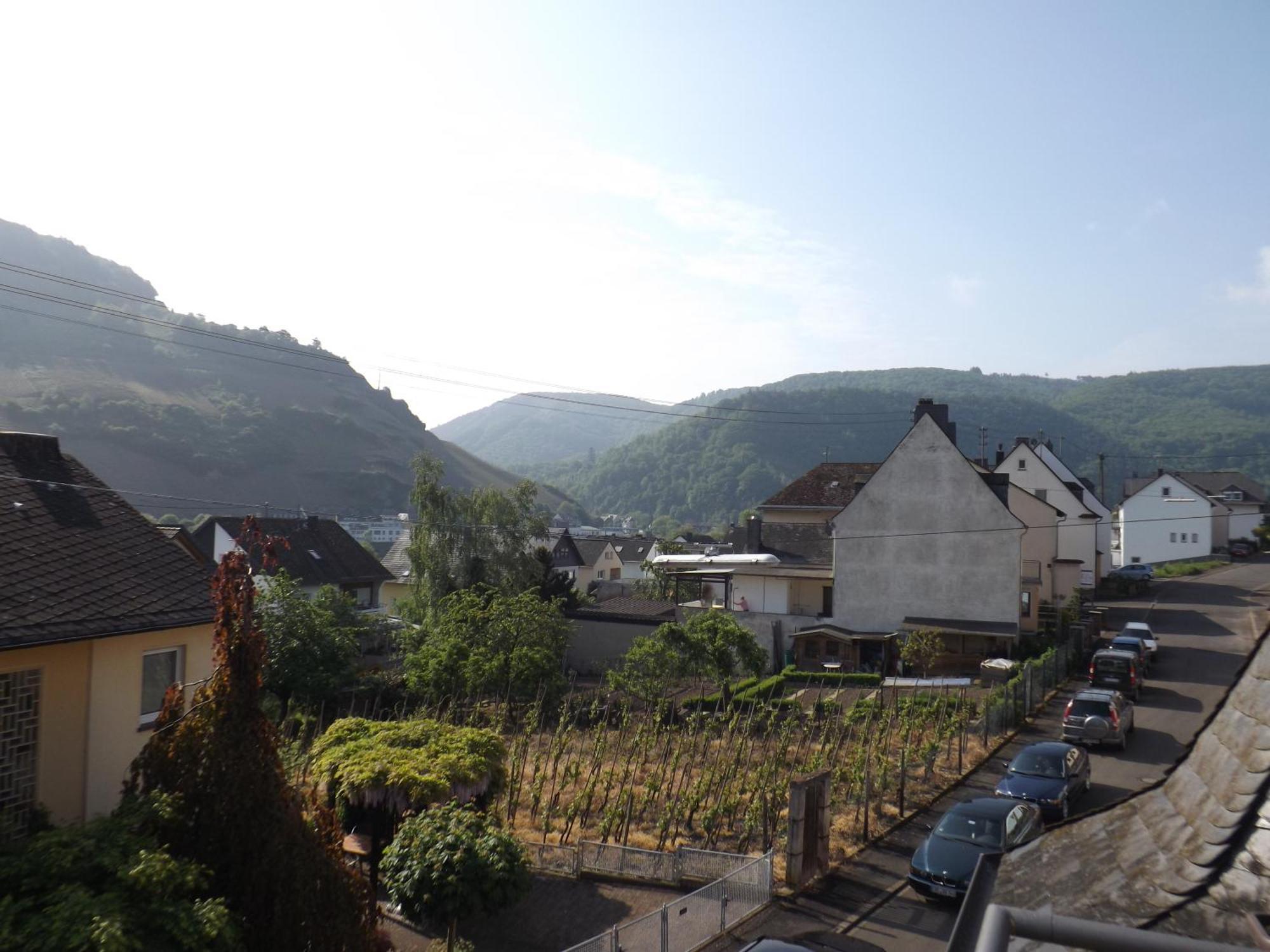 B&B Pension Winzerhaus Zell-Mosel Rom bilde