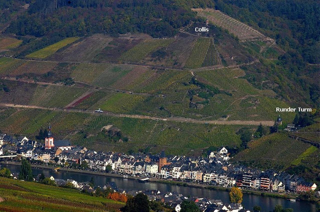 B&B Pension Winzerhaus Zell-Mosel Eksteriør bilde